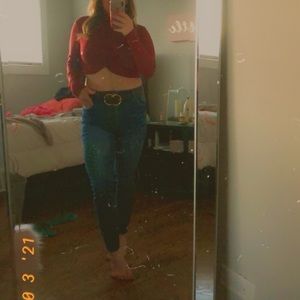 Brie high rise crop skinny jeans